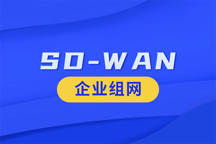 sdwan組網方案