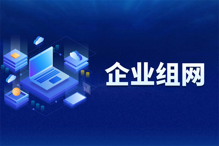 企業(yè)網(wǎng)絡(luò)組網(wǎng) 企業(yè)網(wǎng)絡(luò)組網(wǎng)