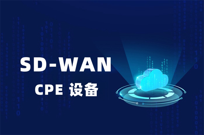 SD-WAN組網是不是需要CPE設備？