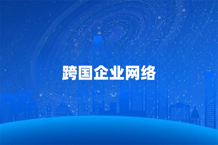 跨國企業(yè)網絡怎么解決？