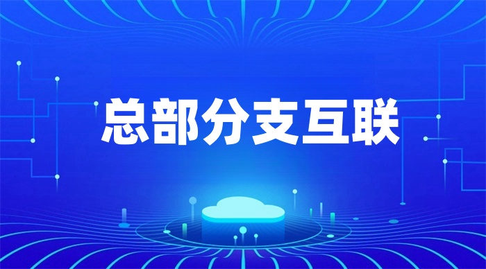 總公司如何與分公司進行組網 總公司如何與分公司進行組網