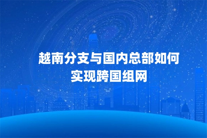 越南分支與國內總部如何實現跨國組網