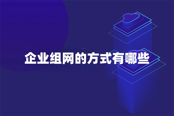 企業組網的方式 企業組網的方式