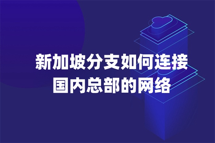 新加坡分支如何連接國內總部的網絡 新加坡分支如何連接國內總部的網絡