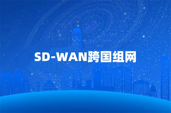 SD-WAN跨國組網(wǎng)