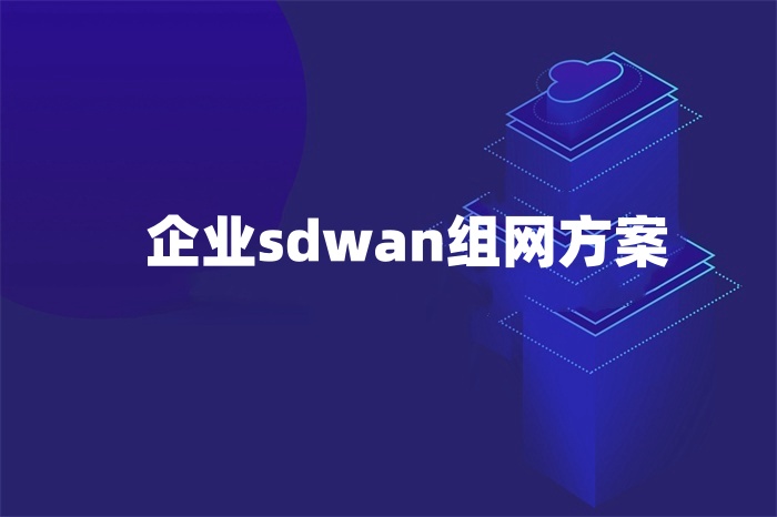 企業sdwan組網方案 企業sdwan組網方案