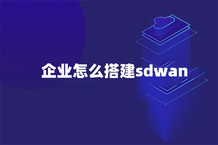 企業怎么搭建sdwan 企業怎么搭建sdwan