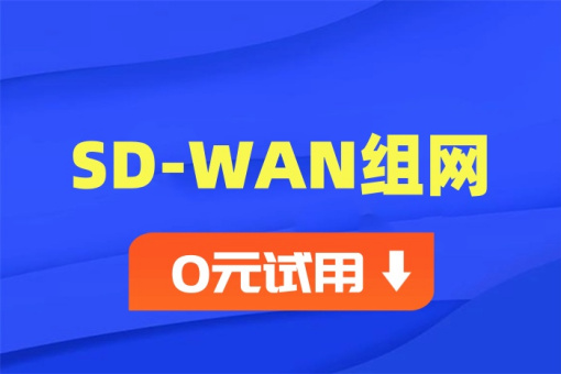 低延遲國際組網解決方案 低延遲國際組網解決方案