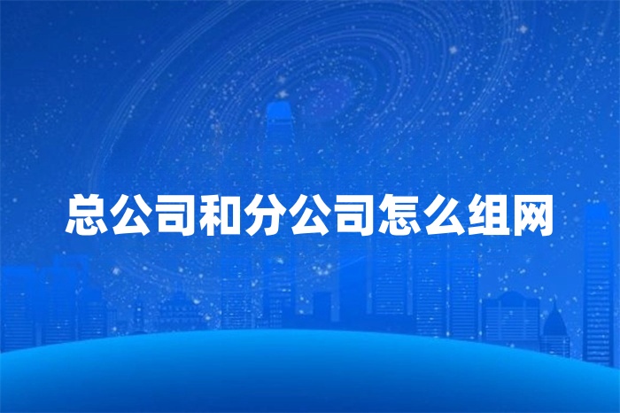總公司和分公司怎么組網(wǎng) 總公司和分公司怎么組網(wǎng)