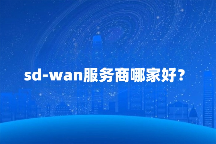 SD-WAN 服務商怎么挑選 SD-WAN 服務商怎么挑選