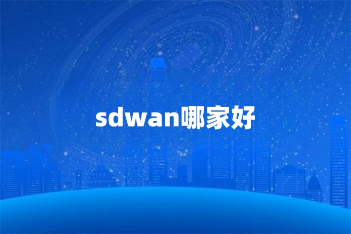 sdwan哪家好
