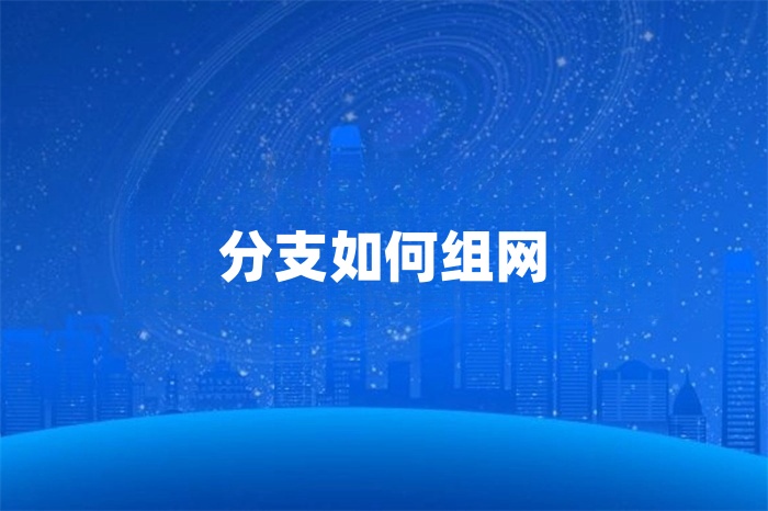分支如何組網(wǎng) 分支如何組網(wǎng)