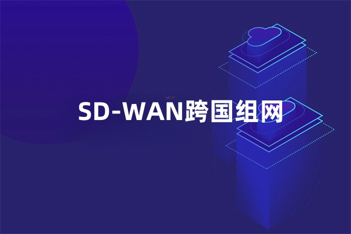 SD-WAN跨國組網 SD-WAN跨國組網