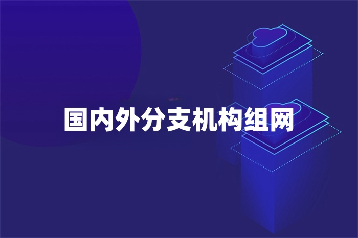 國內外分支機構組網