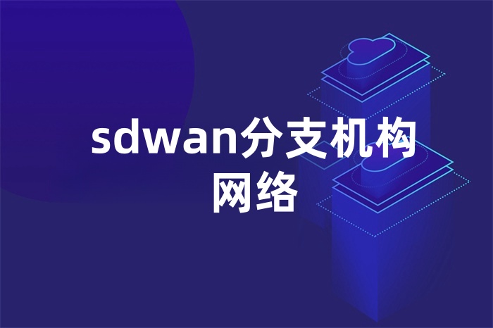 sdwan分支機構網絡 sdwan分支機構網絡