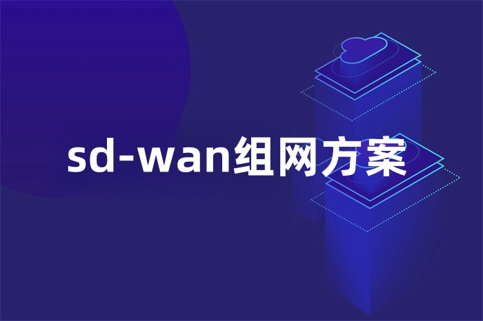 sd-wan組網方案