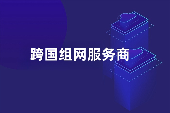 跨國組網(wǎng)服務(wù)商 跨國組網(wǎng)服務(wù)商