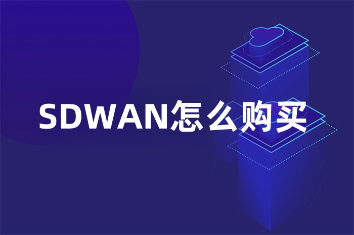 SDWAN購買 SDWAN購買
