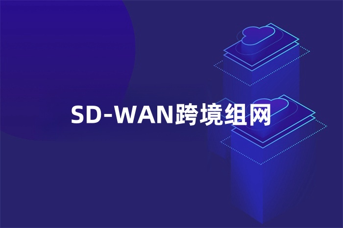 SD-WAN跨境組網(wǎng)