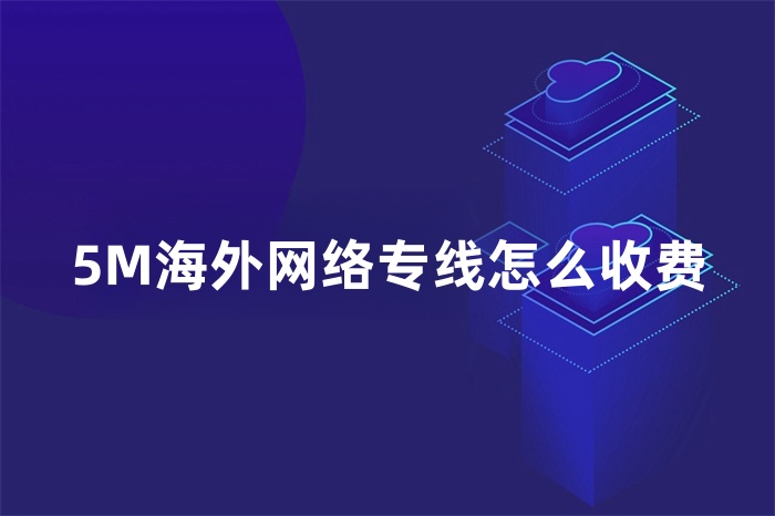 5M海外網(wǎng)絡專線怎么收費