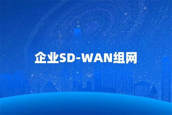 企業SD-WAN組網 企業SD-WAN組網