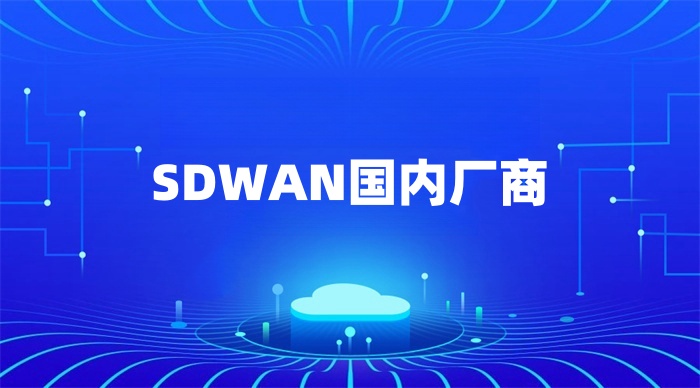 SDWAN國內廠商 SDWAN國內廠商