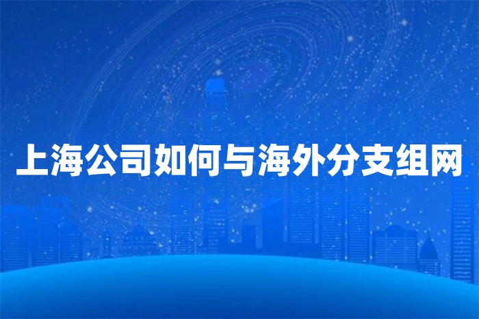 上海公司如何與海外分支組網 上海公司如何與海外分支組網
