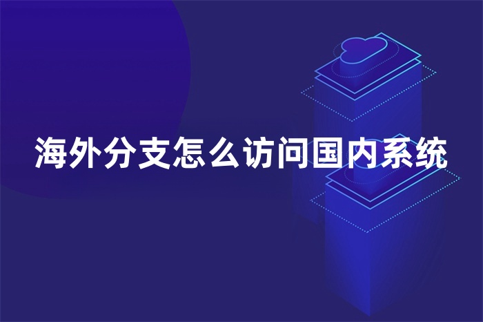 海外分支怎么訪問國內系統