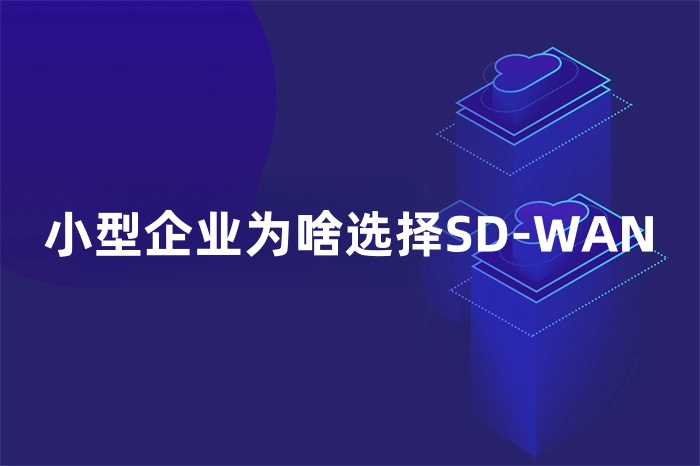 小型企業為啥選擇SD-WAN 小型企業為啥選擇SD-WAN