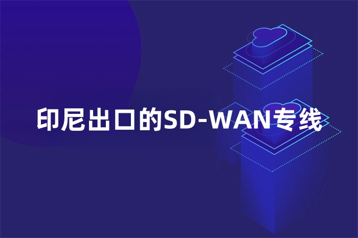 印尼出口的SD-WAN專線