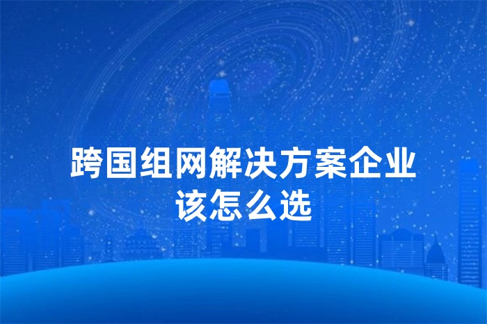 跨國組網解決方案企業該怎么選 跨國組網解決方案企業該怎么選