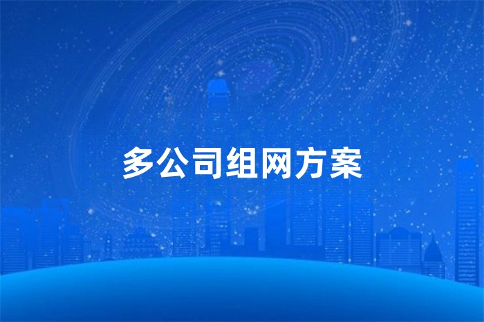 多公司組網方案