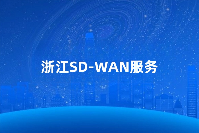 浙江SD-WAN服務 浙江SD-WAN服務