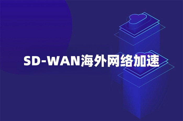 SD-WAN海外網絡加速