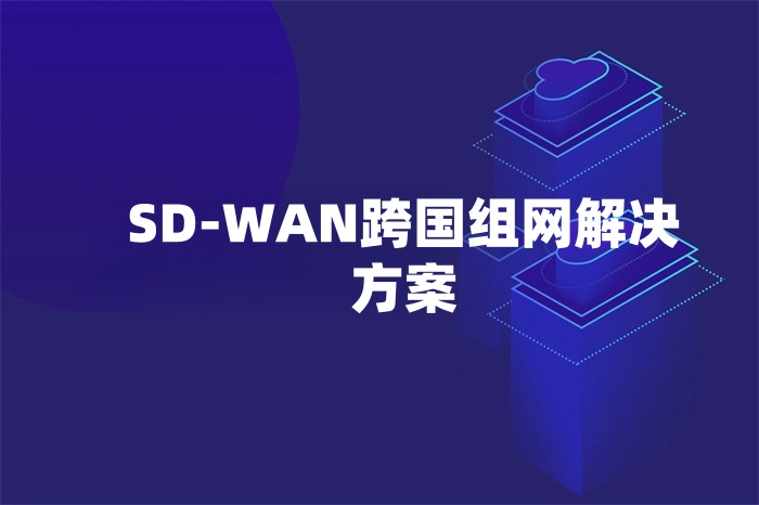 SD-WAN跨國組網解決方案 SD-WAN跨國組網解決方案