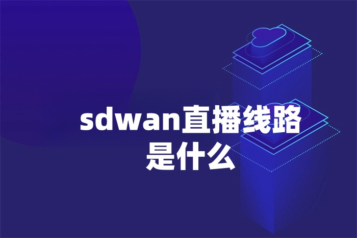 sdwan直播線路是什么